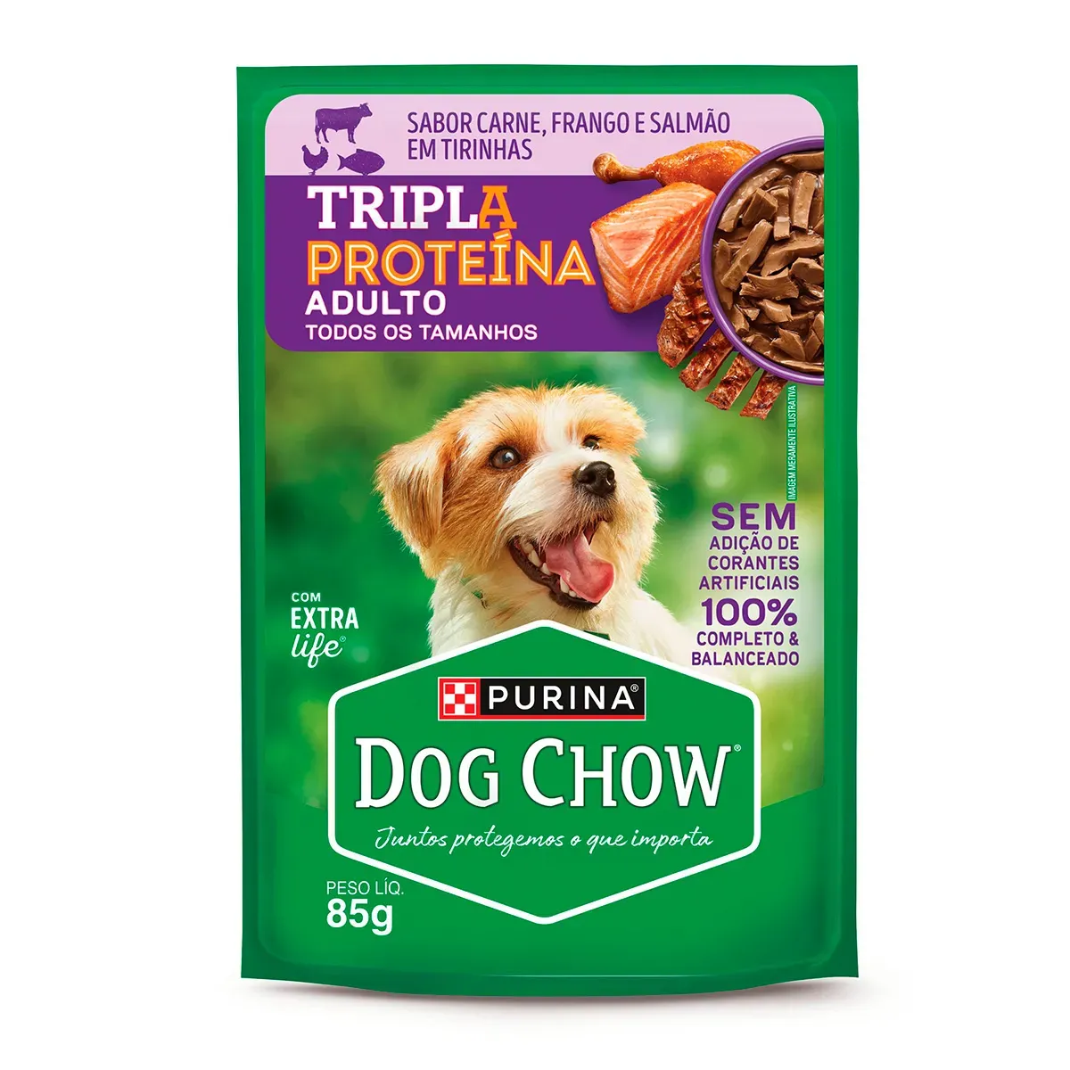 Dog Chow Adultos Salmão Purina 85G