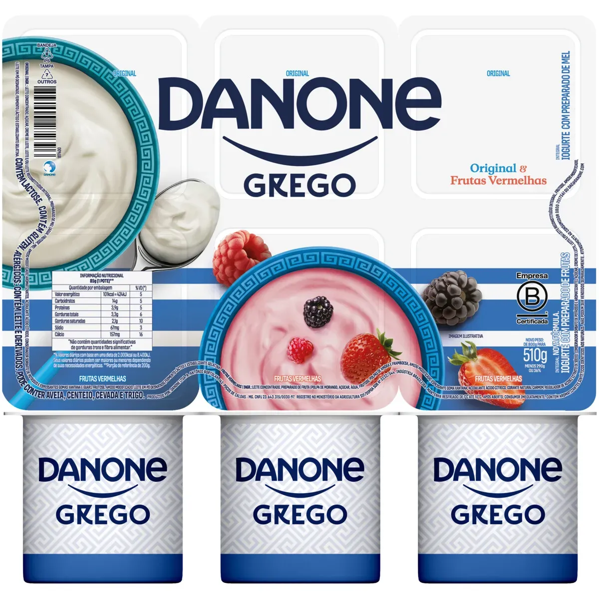 Iogurte Grego Integral + Frutas Danone 510G 6UN