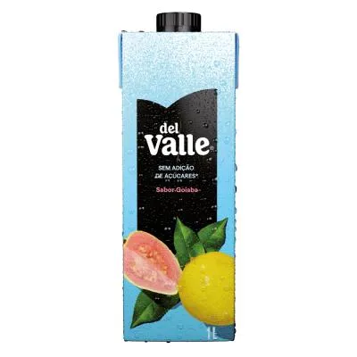 Del Valle Nectar Goiaba SAA TP 1L
