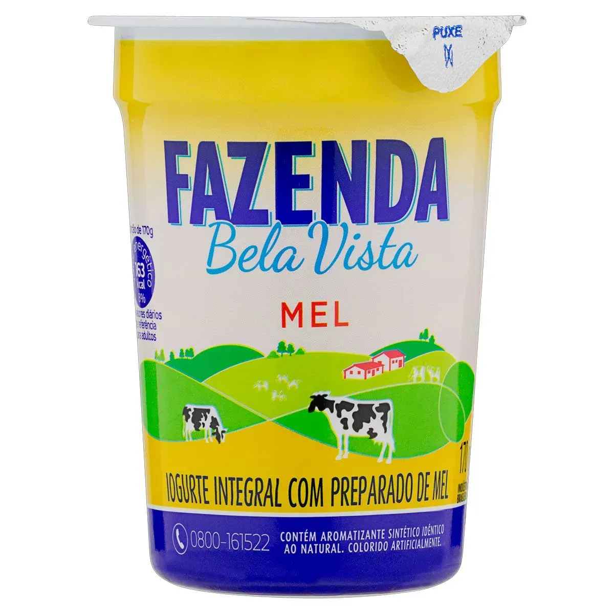 Iogurte Integral Fazenda com Mel Bela Vista 170G