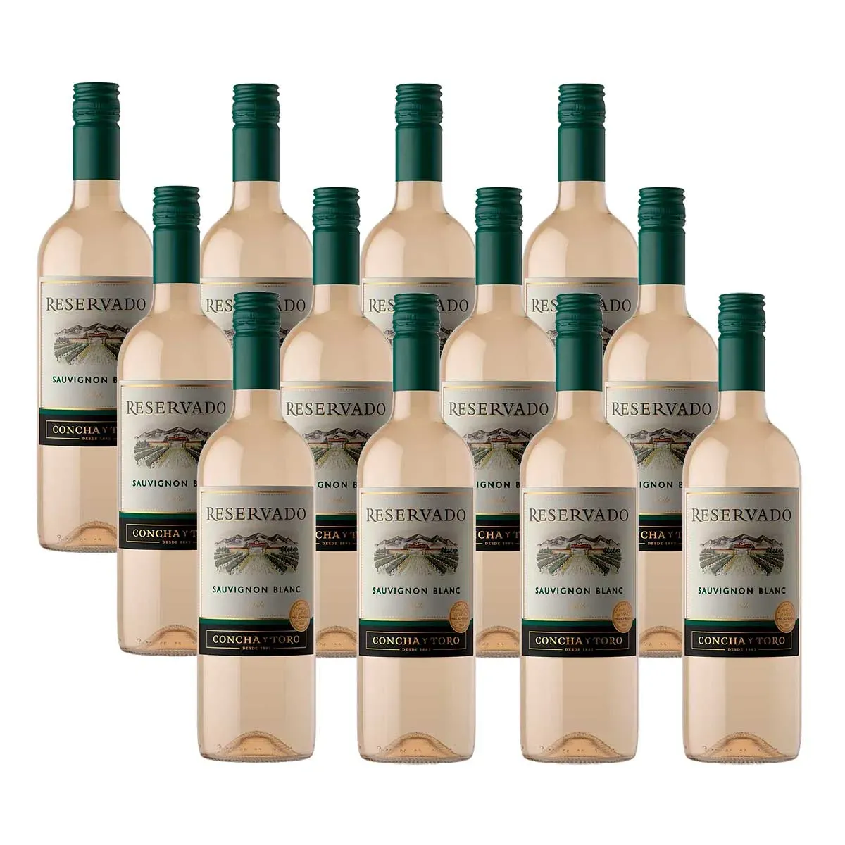 Kit Vinho Branco Concha Y Toro 750ML 12UN
