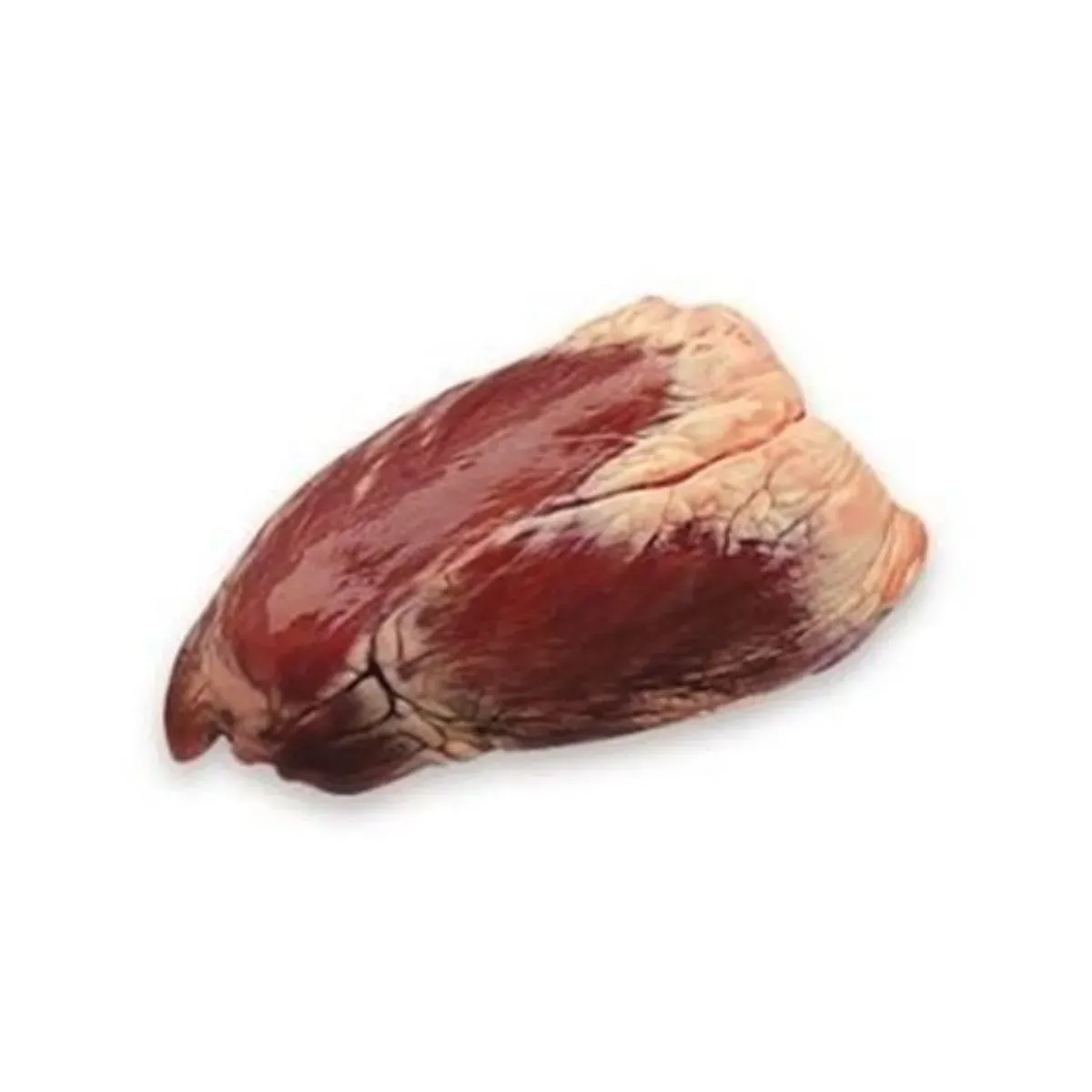 Coração Bovino UN