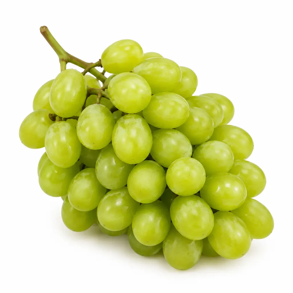 Uva Verde KG