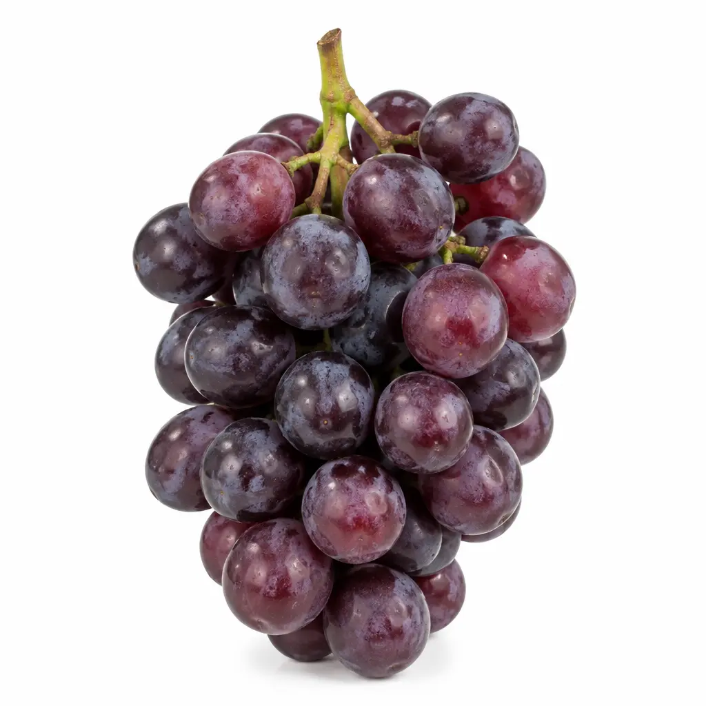 Uva Roxa KG