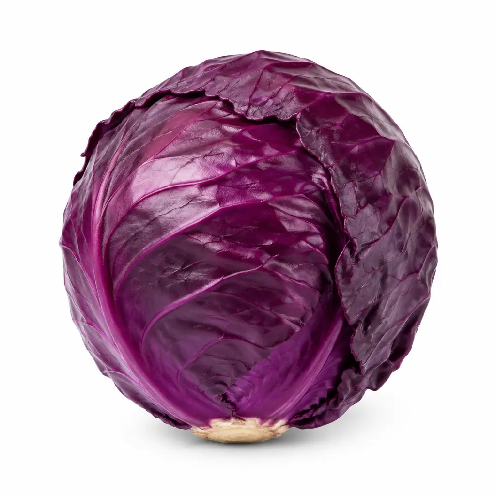 Repolho Roxo KG
